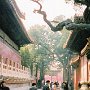 Beijing, China - Forbidden City
